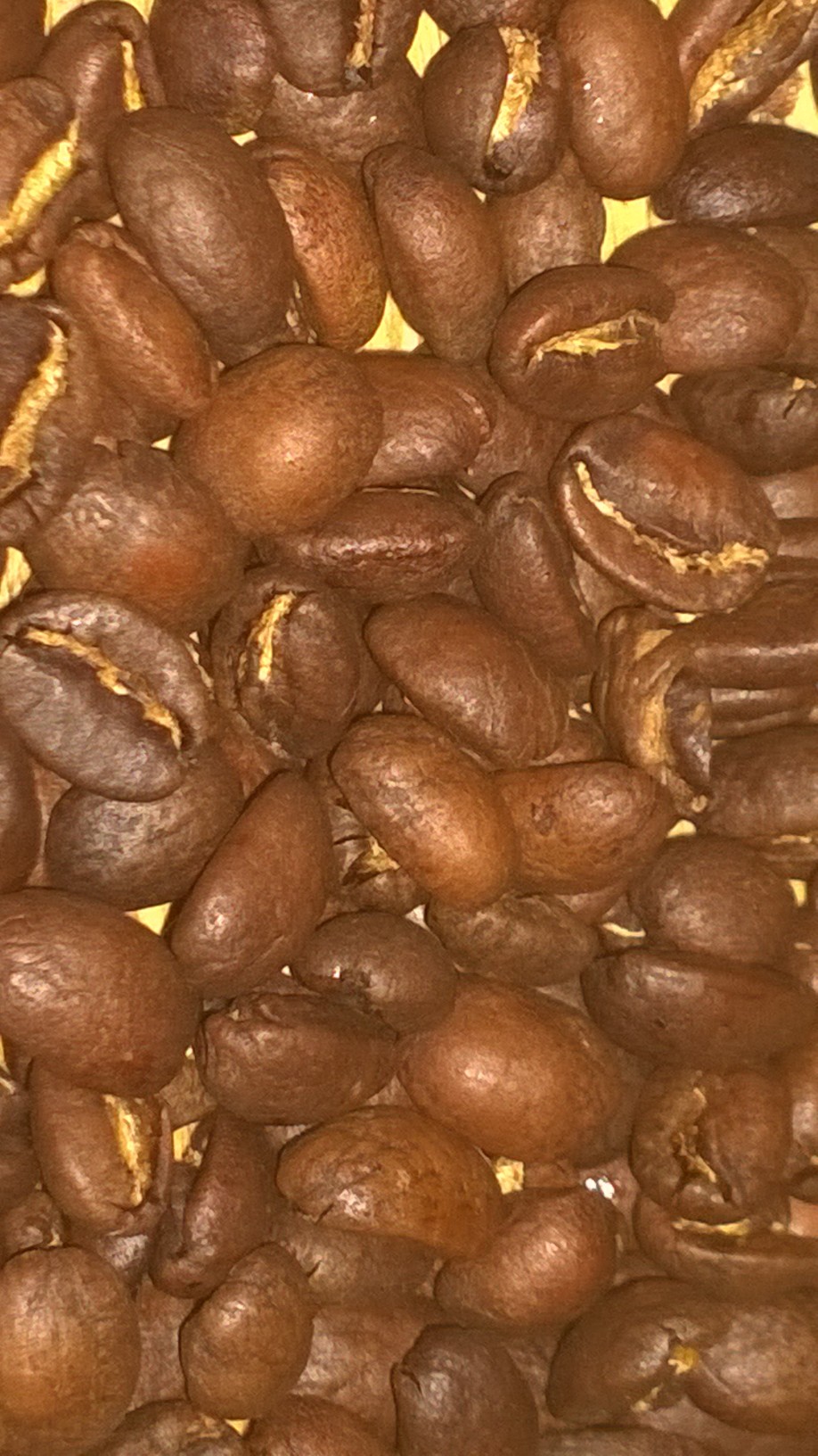 Roasted Coffee Beans Panama Lerida Estate Catuai Natural Process 5 Pounds