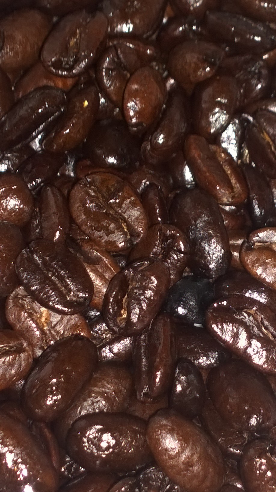 Roasted coffee beans Laos