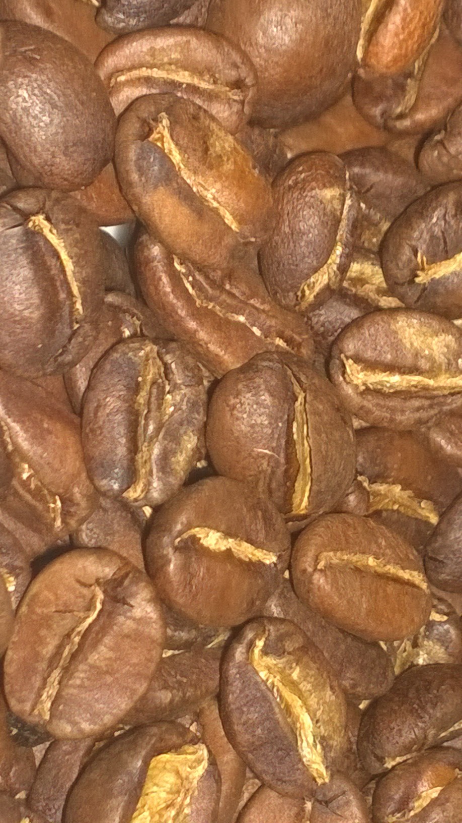 Roasted Coffee Beans Ethiopia Limu- Gera 5 Pounds