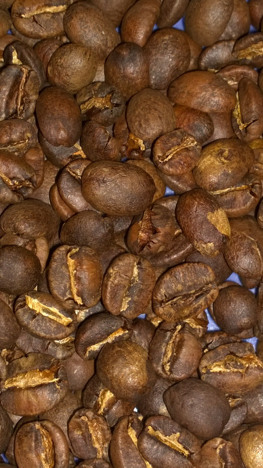 Roasted coffee beans Organic D.R. Congo Kivu 5 Pound Bag