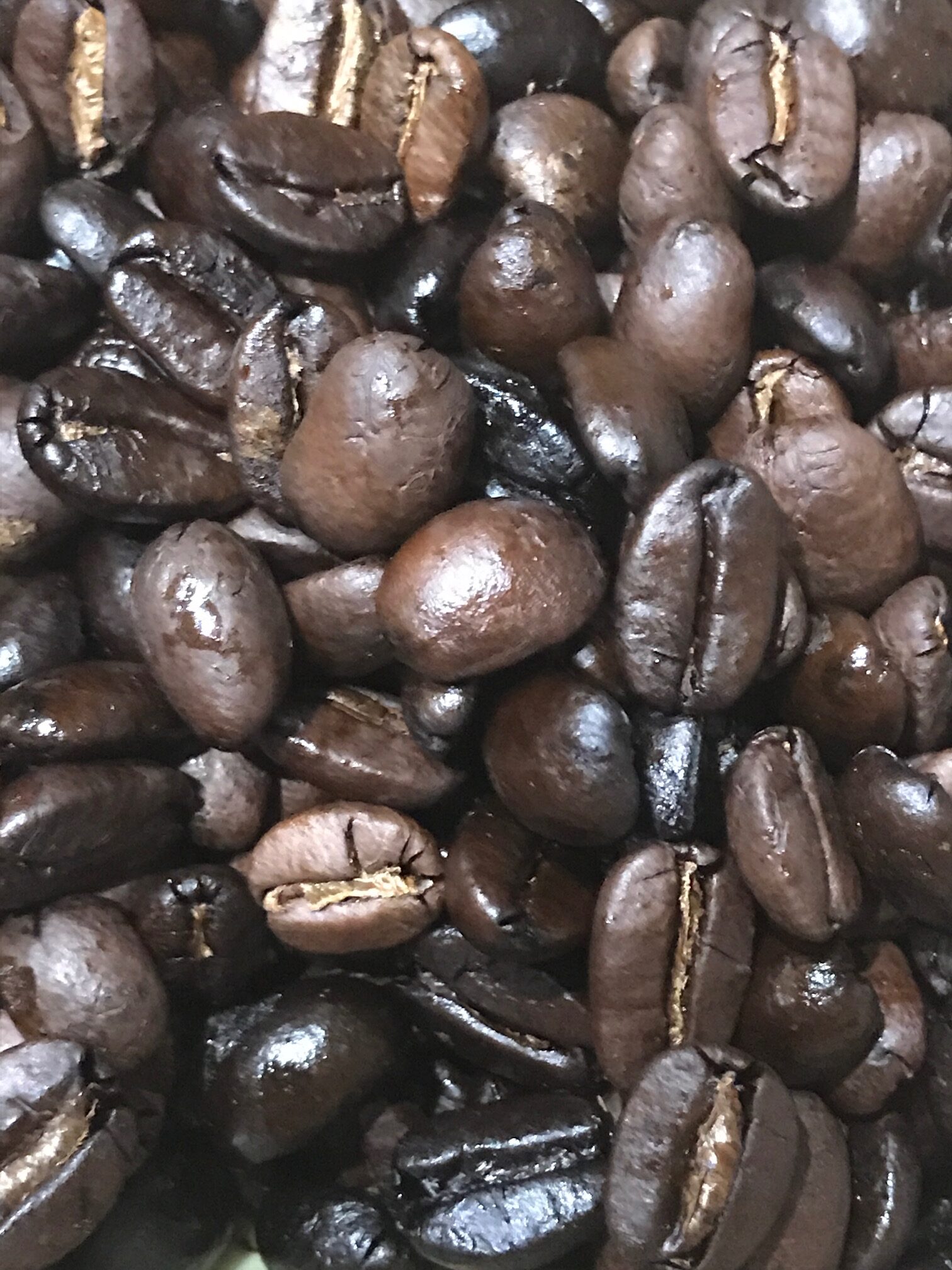 FRESH roasted Haiti Organic Espresso